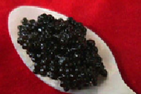 Cucharita de Caviar de Lumpus